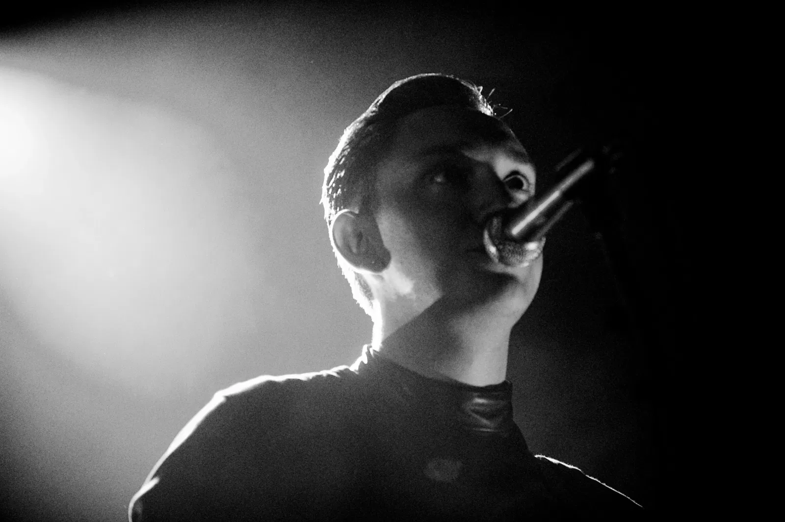 The xx