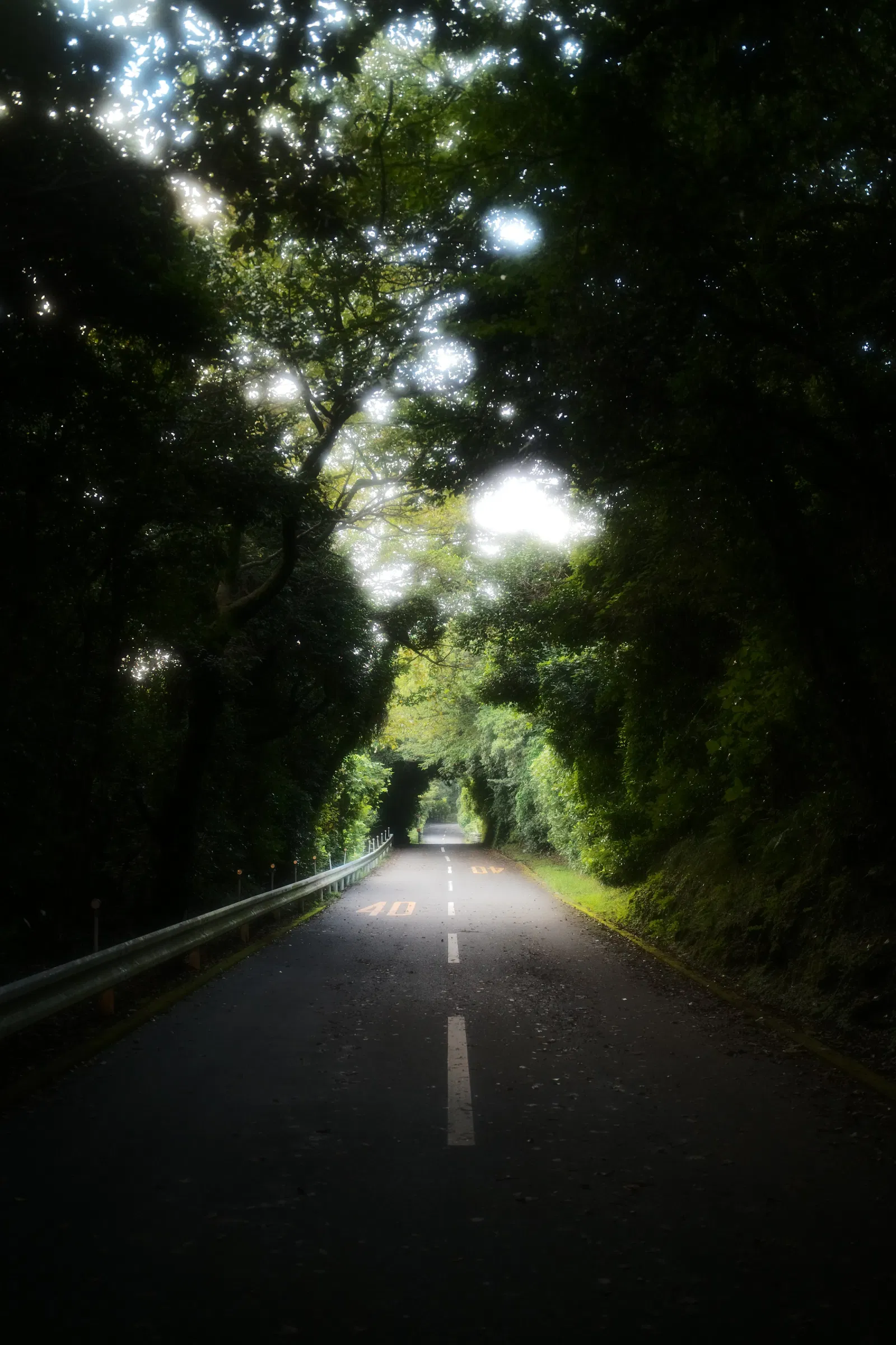 Oshima